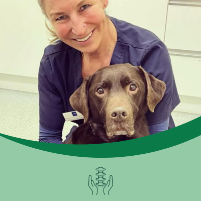 Veterinary physiotherapy