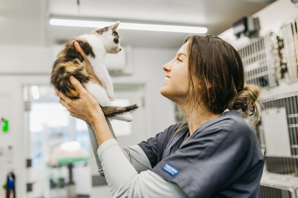 Vet and kitten